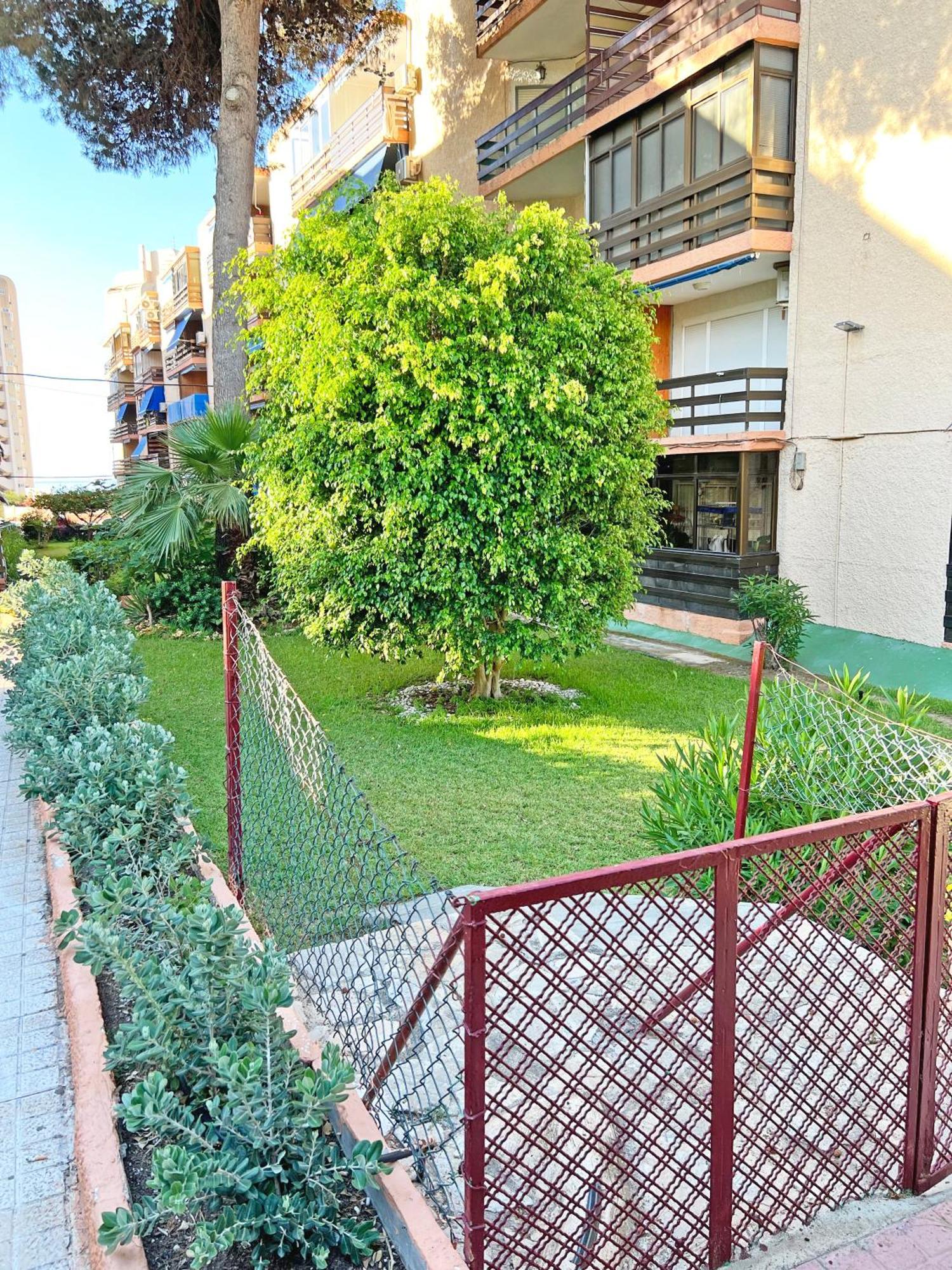 Ferienwohnung Coqueto Con Piscina, Nuevo A 50M Del Mar, Parking Gratis El Campello Exterior foto