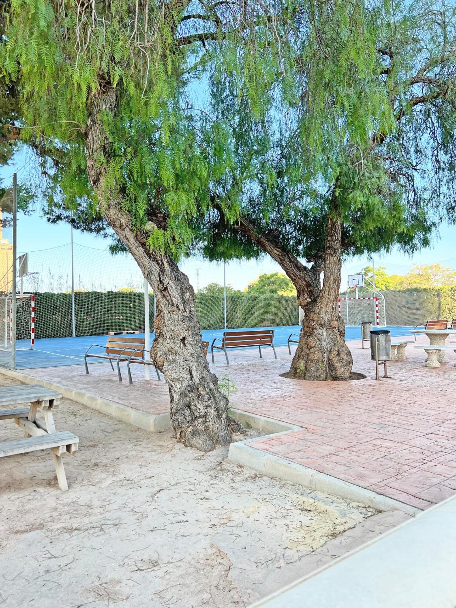Ferienwohnung Coqueto Con Piscina, Nuevo A 50M Del Mar, Parking Gratis El Campello Exterior foto
