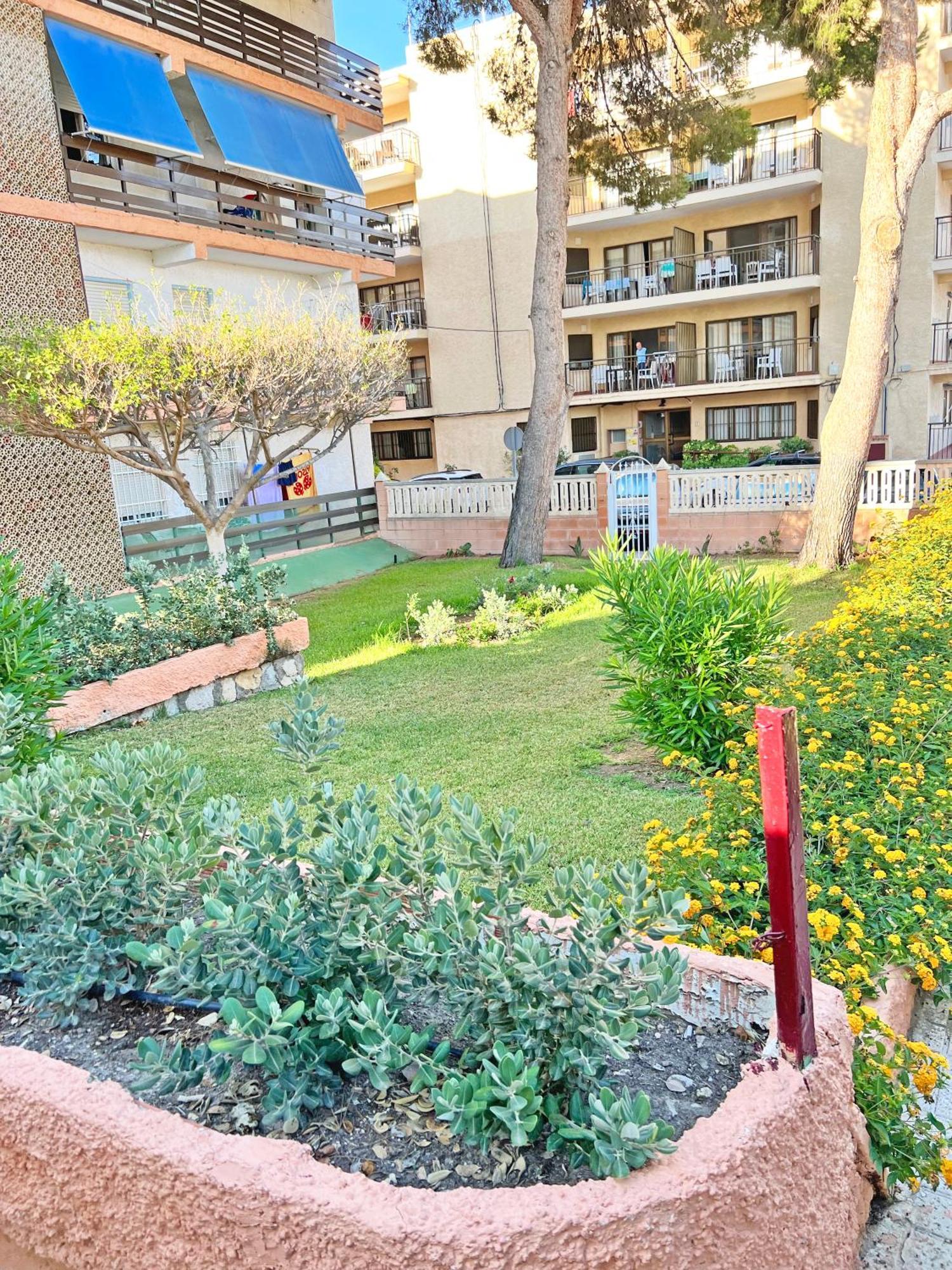 Ferienwohnung Coqueto Con Piscina, Nuevo A 50M Del Mar, Parking Gratis El Campello Exterior foto
