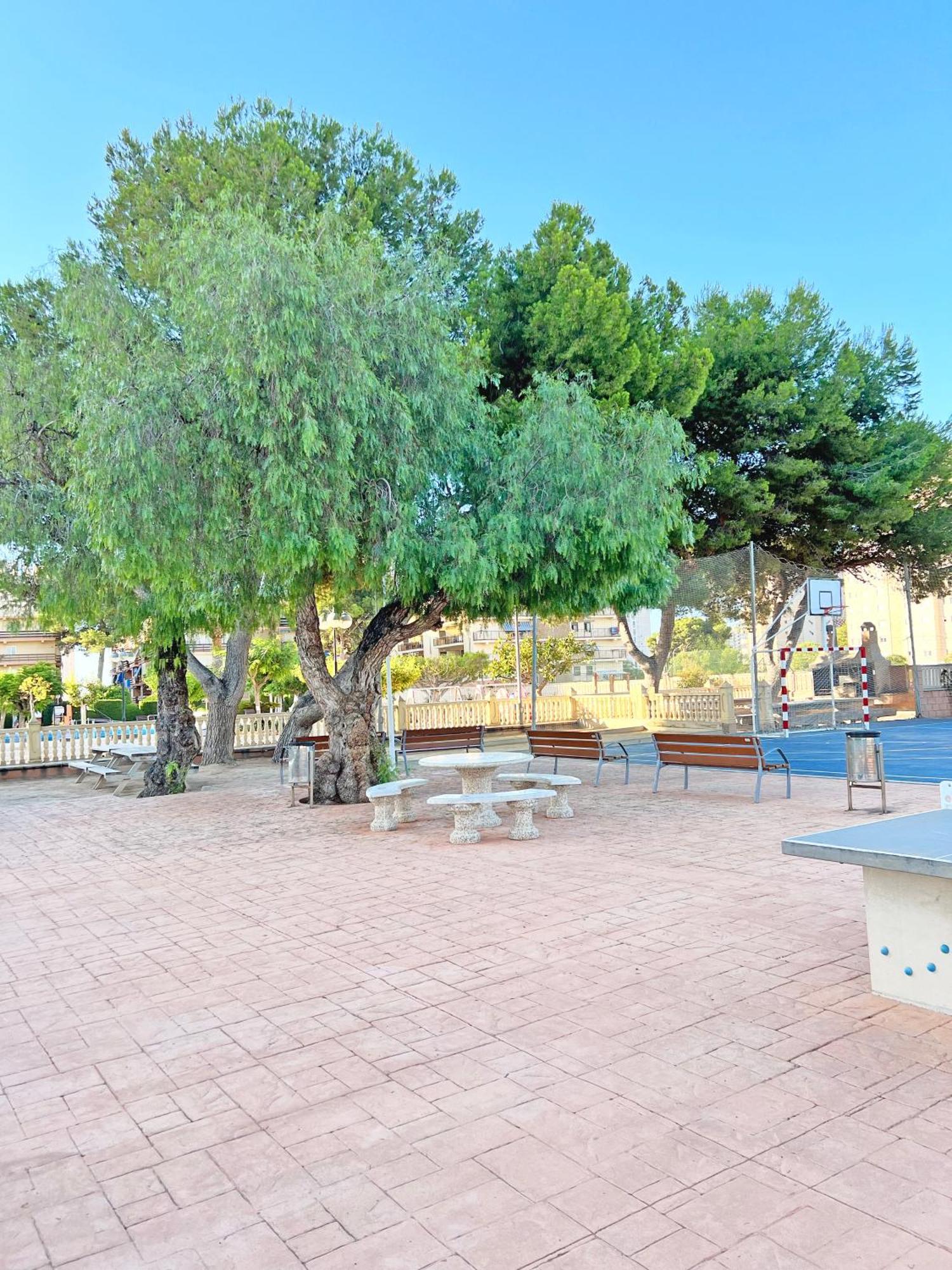 Ferienwohnung Coqueto Con Piscina, Nuevo A 50M Del Mar, Parking Gratis El Campello Exterior foto